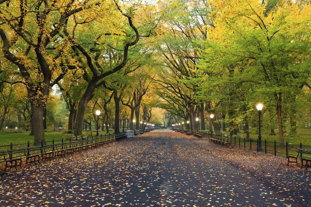 Hudson Central Park, A Morgans Hotel Ню Йорк Екстериор снимка